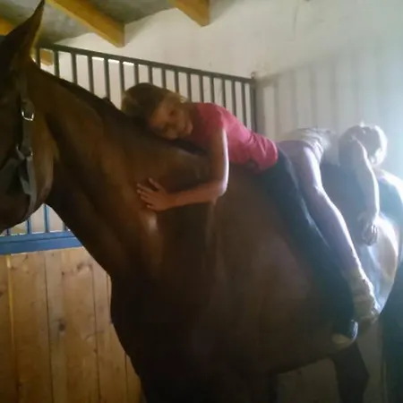 Caballus Lovasmajor Panzio 4*