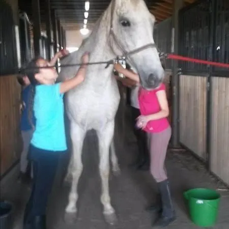 Alojamento de Acomodação e Pequeno-almoço Caballus Lovasmajor Panzió