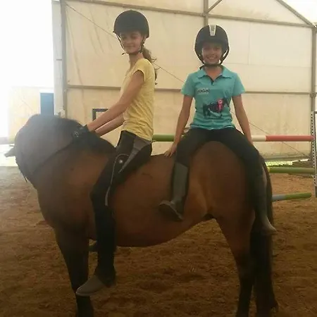 Caballus Lovasmajor Panzió Alojamento de Acomodação e Pequeno-almoço Nyíregyháza