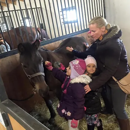 Caballus Lovasmajor Panzio B&B *
