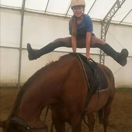 Alojamento de Acomodação e Pequeno-almoço Caballus Lovasmajor Panzió