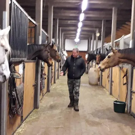 Alojamento de Acomodação e Pequeno-almoço Caballus Lovasmajor Panzió Nyíregyháza