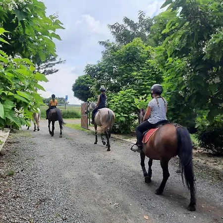 Caballus Lovasmajor Panzió