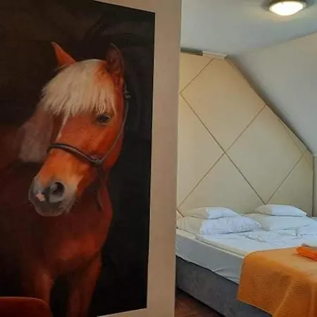 Caballus Lovasmajor Panzio *