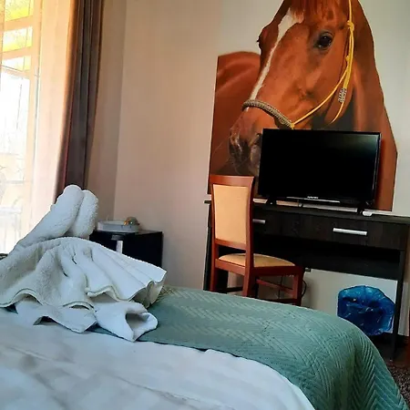 Caballus Lovasmajor Panzió Nyíregyháza