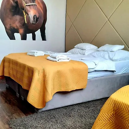 Bed & Breakfast Caballus Lovasmajor Panzio *