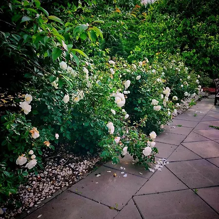 Alojamento de Acomodação e Pequeno-almoço Caballus Lovasmajor Panzió