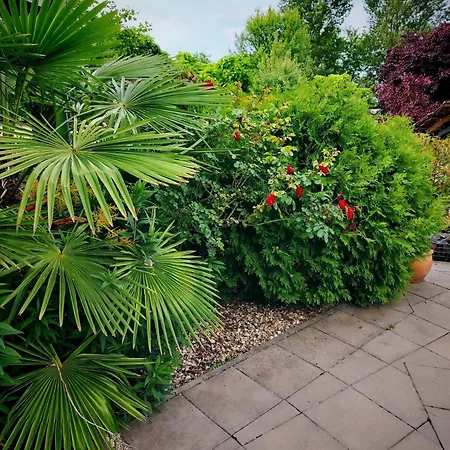 Alojamento de Acomodação e Pequeno-almoço Caballus Lovasmajor Panzió 4*