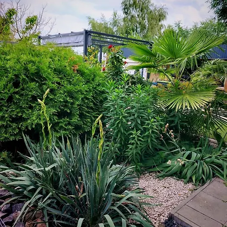 Caballus Lovasmajor Panzió Alojamento de Acomodação e Pequeno-almoço Nyíregyháza