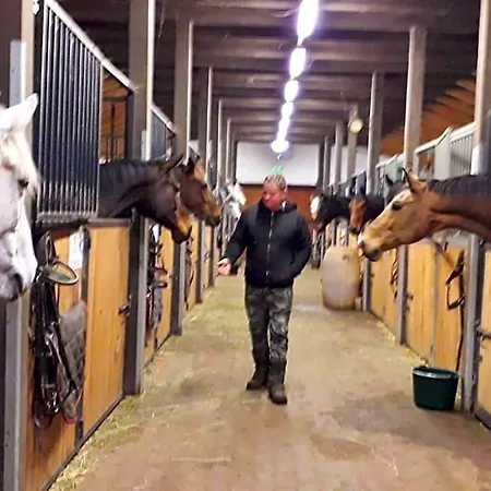 Caballus Lovasmajor Panzio Nyíregyháza