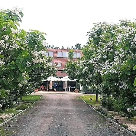 Caballus Lovasmajor Panzio Bed & Breakfast Nyíregyháza