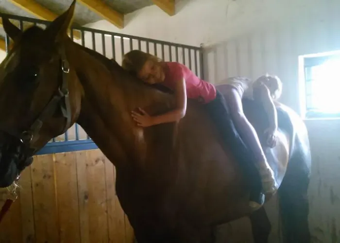 Caballus Lovasmajor Panzio 4*
